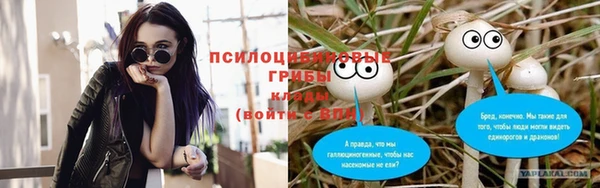 индика Бугульма