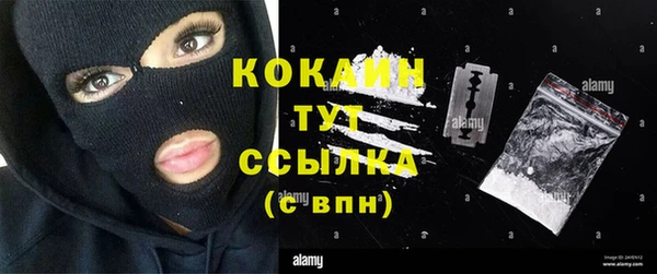ПСИЛОЦИБИНОВЫЕ ГРИБЫ Бородино