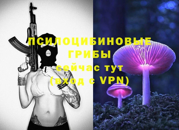 индика Бугульма