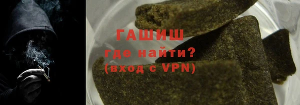 индика Бугульма