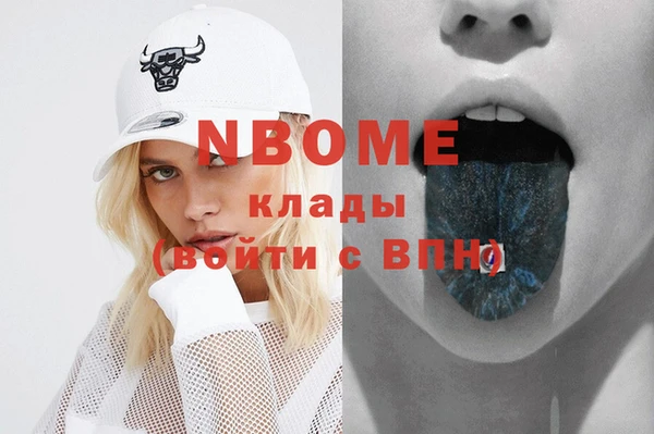 индика Бугульма