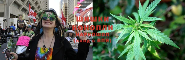 индика Бугульма
