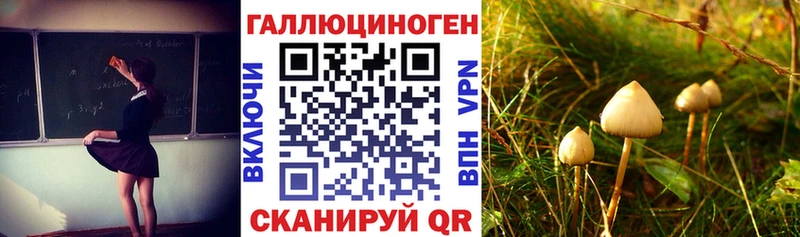 Купить закладки  Ковдор  Псилоцибиновые грибы прущие грибы 